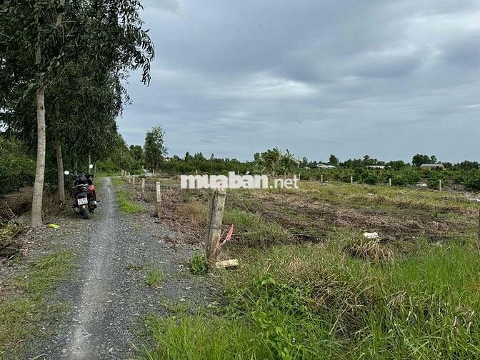 BÁN MIẾNG ĐẤT VƯỜN – GIÁ HỢP LÝ, GIẤY TỜ RÕ RÀNG