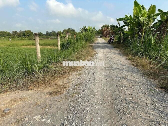 BÁN MIẾNG ĐẤT VƯỜN – GIÁ HỢP LÝ, GIẤY TỜ RÕ RÀNG