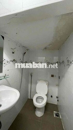 cho thuê nhà nguyên căn. 3pn2wc Bùi đình tuý p12 Bình thạnh
