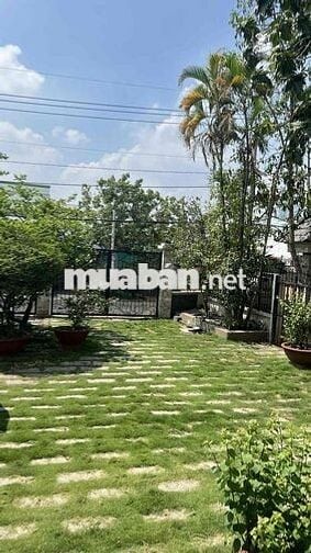 Cho Thuê Biệt Thự Gần Nhà Thờ Giáo Sứ Sơn Lộc 1500M2 Full Nội Thất