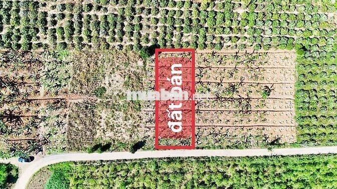 ĐƯỜNG QH 13M. PHỦ HỒNG ĐẤT Ở ĐÔ THỊ. XUÂN PHÚ- EAKAR- DAKLAK