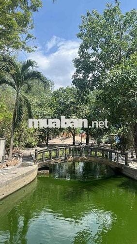 Cho Thuê Biệt Thự Gần Nhà Thờ Giáo Sứ Sơn Lộc 1500M2 Full Nội Thất