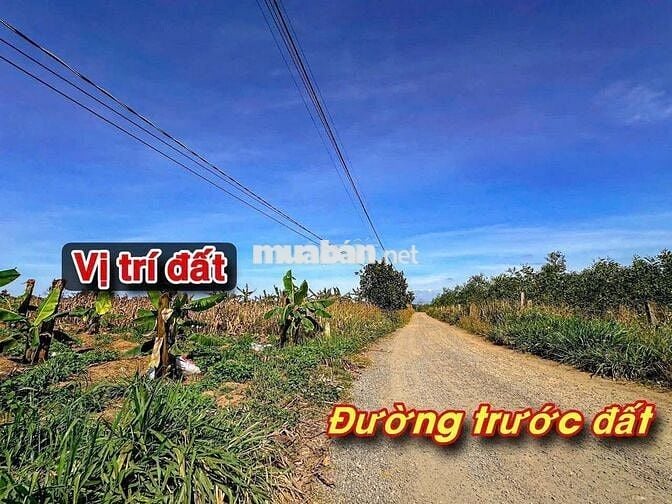 ĐƯỜNG QH 13M. PHỦ HỒNG ĐẤT Ở ĐÔ THỊ. XUÂN PHÚ- EAKAR- DAKLAK