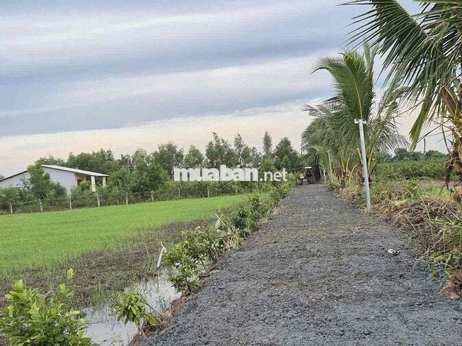 1000m2 giá 569tr , xã tân thành - thủ thừa - long an