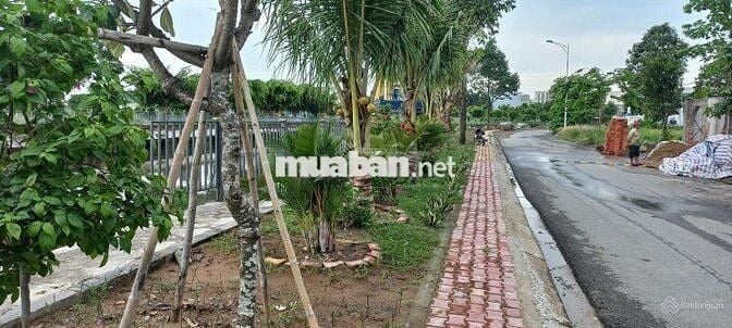 Bán đất view sông cực đẹp. Hàng hiếm khu dân cư Vĩnh phú 1