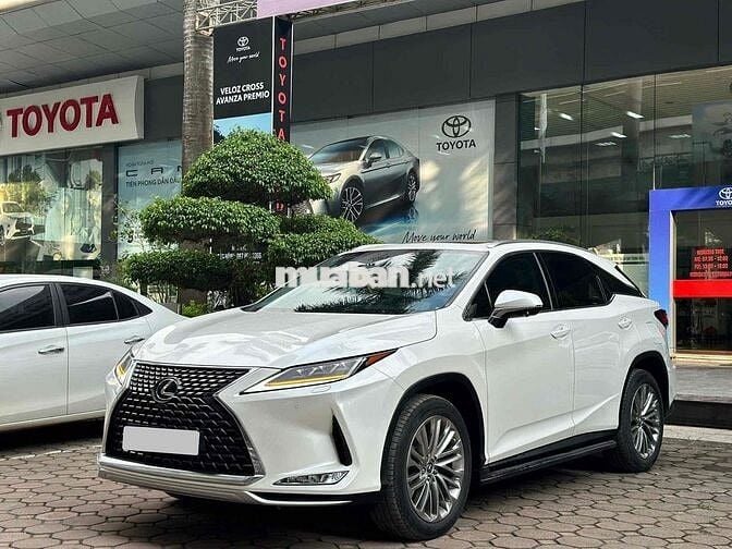 Toyota Hà Đông bán Lexus RX300 2022 - 4v km