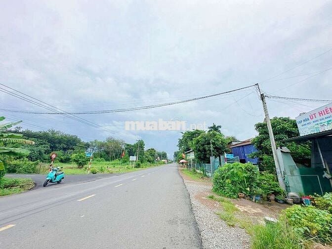 Đất đuờng nhựa sau lưng trường học An Linh 234m2 giá 450tr