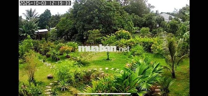 mặt tiền truông bồng bông cách nguyễn văn thành 70m