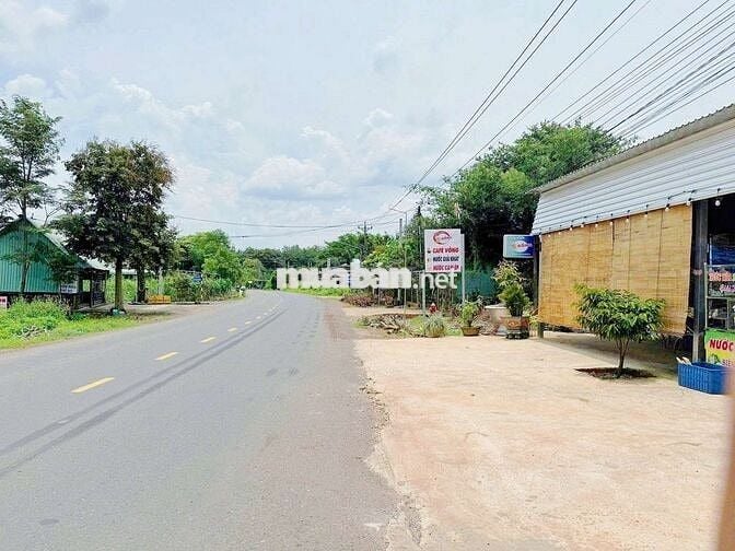 Đất đuờng nhựa sau lưng trường học An Linh 234m2 giá 450tr