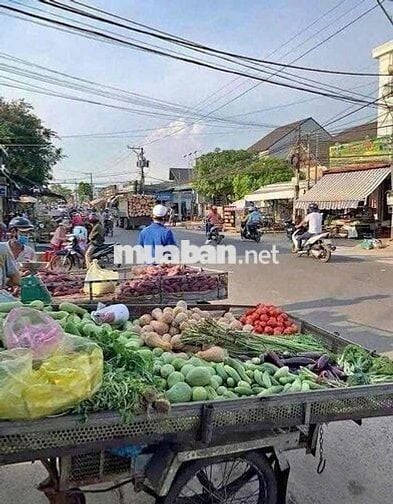 Đất nền giá rẻ, cần bán GẤP 🔥