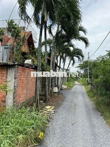 Bán 100m2 đất Bình Chánh xe hơi trước đất giá 2ty980 cách QL1A hơn 1km