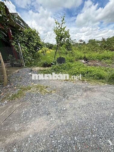 Bán 100m2 đất Bình Chánh xe hơi trước đất giá 2ty980 cách QL1A hơn 1km
