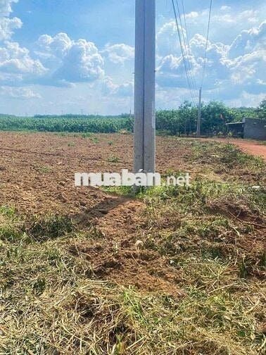 ĐẤT VƯỜN AN THÁI PHÚ GIÁO BÌNH DƯƠNG 2400m2 chỉ 800tr