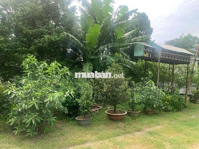mặt tiền truông bồng bông cách nguyễn văn thành 70m