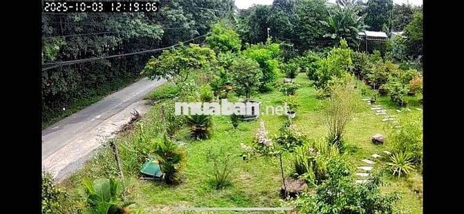 mặt tiền truông bồng bông cách nguyễn văn thành 70m