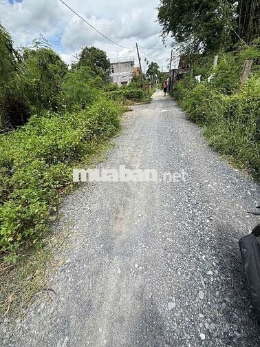 Bán 100m2 đất Bình Chánh xe hơi trước đất giá 2ty980 cách QL1A hơn 1km