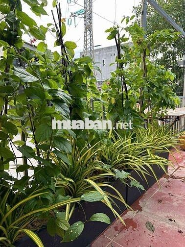 Cho Thuê Nhà Style Hội An Khu Nguyễn Văn Thoại Sát Biển Mỹ Khê