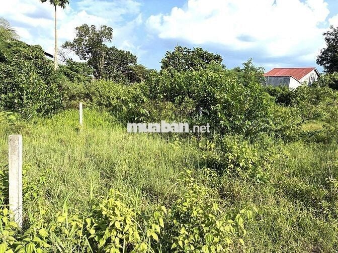 BÁN GẤP NỀN ĐƯỜNG 17A KĐT MINH LINH - P THANH ĐỨC -  TỈNH VĨNH LONG