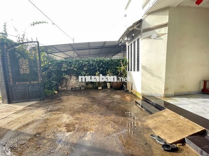 Cho thuê nhà nguyên căn Ấp Thạnh Sơn 3, Phước Tân, Xuyên Mộc
