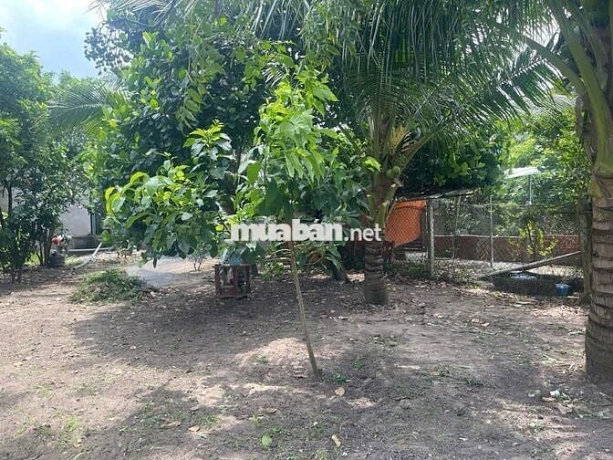 Cho thuê nhà nguyên căn Ấp Thạnh Sơn 3, Phước Tân, Xuyên Mộc