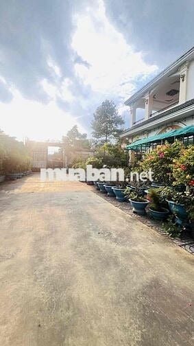 💎 BIỆT THỰ CHÂU ÂU SIÊU ĐẲNG CẤP – DĨ AN, BÌN H DƯƠNG 💎