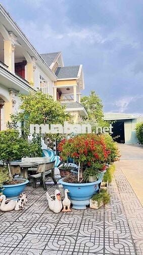 💎 BIỆT THỰ CHÂU ÂU SIÊU ĐẲNG CẤP – DĨ AN, BÌN H DƯƠNG 💎
