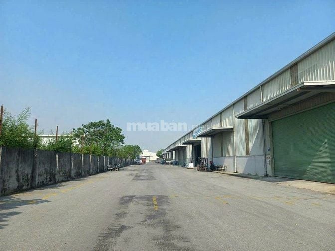 Cho thuê kho xưởng 1.900m2 , tại KCN Đức Hòa , Long An , PCCC tự động 