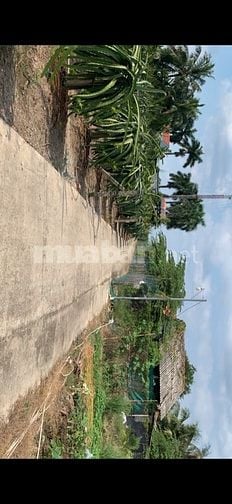 Chính chủ cần bán gấp đất thổ Long An