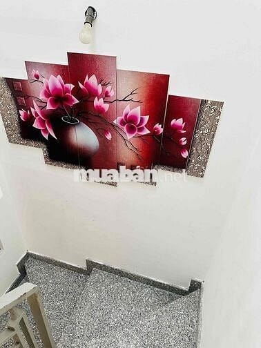 Cho Thuê Nhà Ở Nguyên Căn Gần Aeon Tân Phú