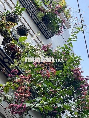 bán nhà đầu ngõ phố Hoang như tiếp