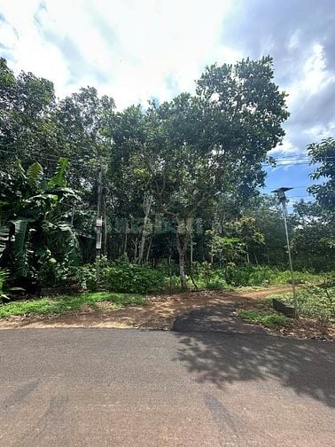 Cần tiền bán gấp lô đất tại ĐT328, Xã Bàu Lâm, Xuyên Mộc, Bà Rịa Vũng 