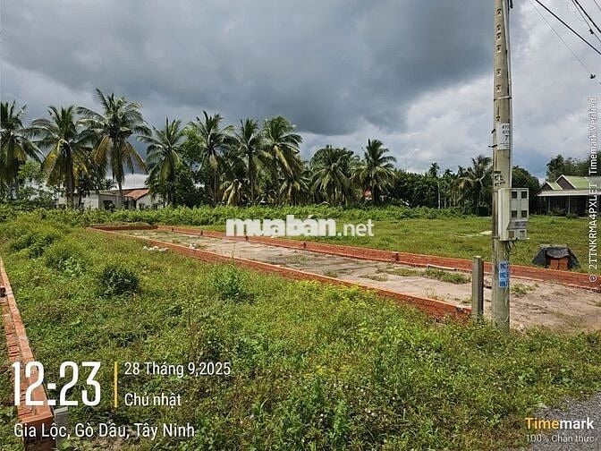 ĐẤT THỔ CƯ GIÁ RẺ 144M2 SÁT KCN PHƯỚC ĐÔNG GÒ DẦU, TÂY NINH. 900 TRIỆU