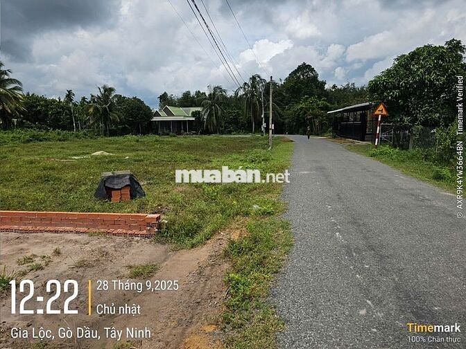 ĐẤT THỔ CƯ GIÁ RẺ 144M2 SÁT KCN PHƯỚC ĐÔNG GÒ DẦU, TÂY NINH. 900 TRIỆU