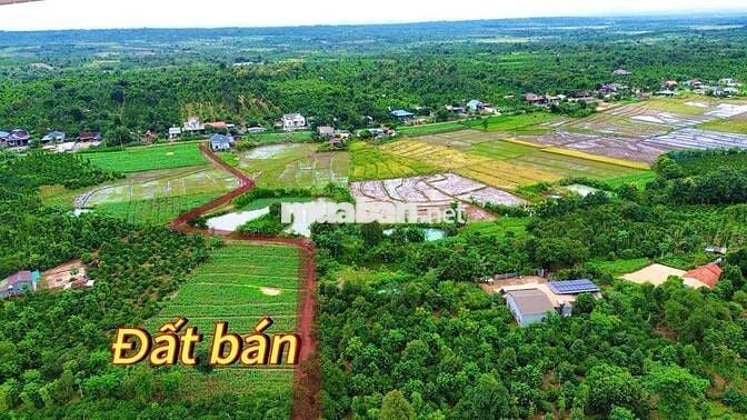 Đất phủ hồng, ngay khu dân cư tại Ea Mdroh- Cư Mgar- Daklak