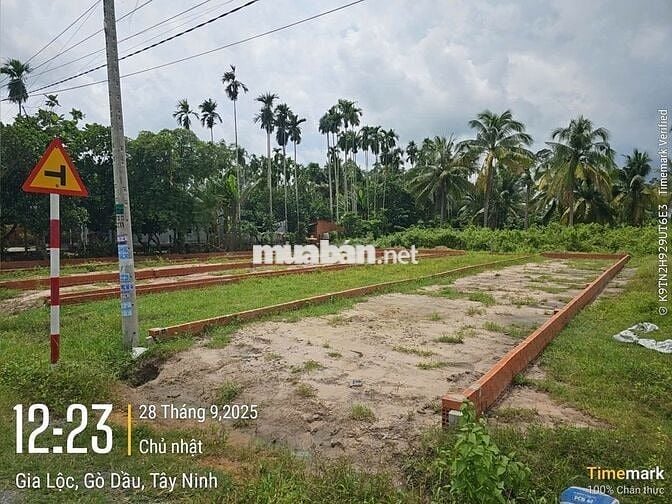 ĐẤT THỔ CƯ GIÁ RẺ 144M2 SÁT KCN PHƯỚC ĐÔNG GÒ DẦU, TÂY NINH. 900 TRIỆU