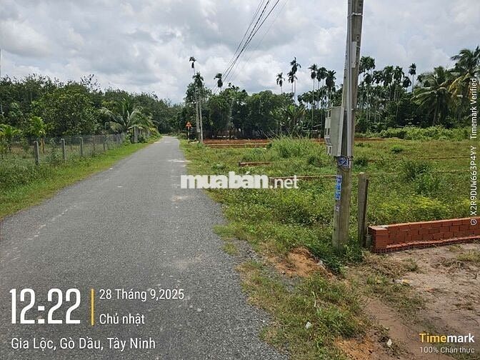 ĐẤT THỔ CƯ GIÁ RẺ 144M2 SÁT KCN PHƯỚC ĐÔNG GÒ DẦU, TÂY NINH. 900 TRIỆU