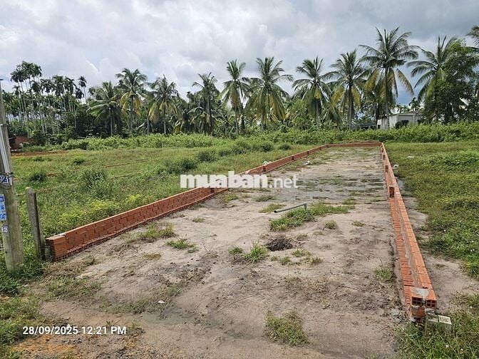 ĐẤT THỔ CƯ GIÁ RẺ 144M2 SÁT KCN PHƯỚC ĐÔNG GÒ DẦU, TÂY NINH. 900 TRIỆU