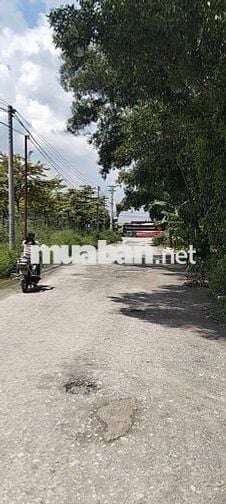 Cho thuê xưởng Tân Uyên Bình Dương
Xưởng 2 mặt tiền diện tích 600 m2