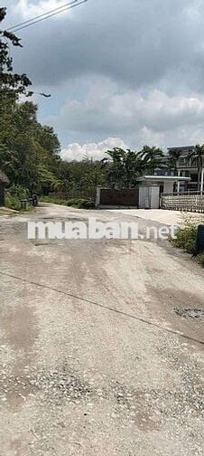 Cho thuê xưởng Tân Uyên Bình Dương
Xưởng 2 mặt tiền diện tích 600 m2