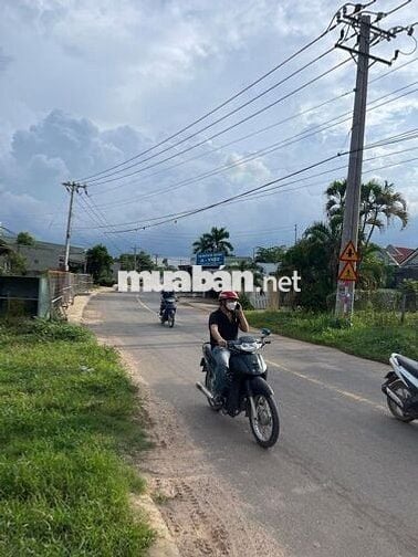 CHỦ CẦN TIỀN NÊN BÁN ĐẤT Ở TRẢNG BÀNG, TÂY NINH DT 5X35 GIÁ 530 TRIỆU