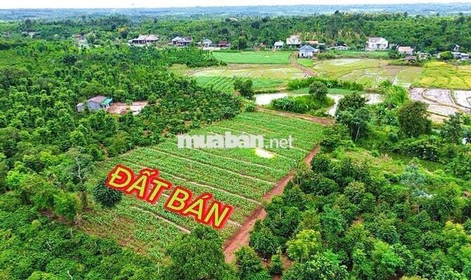Đất phủ hồng, ngay khu dân cư tại Ea Mdroh- Cư Mgar- Daklak