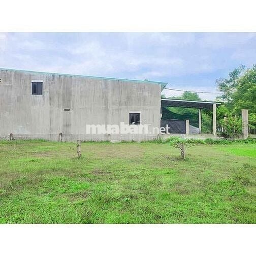 Cần nhượng 106m2 đất thổ, Thái Mỹ – Giá 560tr – Cách QL22 3 phút đi xe