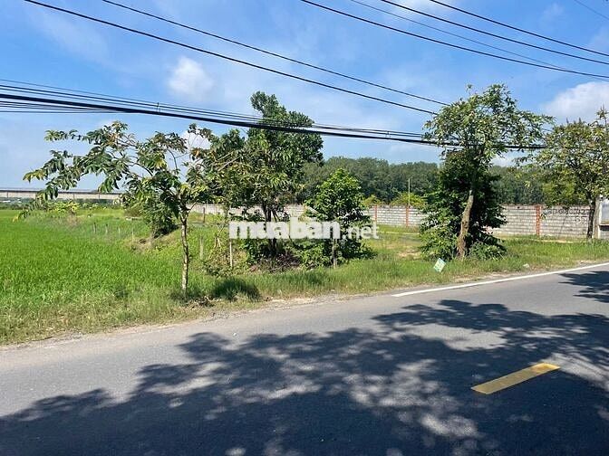 150m2 thổ cư Trung Lập Hạ - Mặt tiền Hương Lộ 2 - Vị trí đẹp - SHR