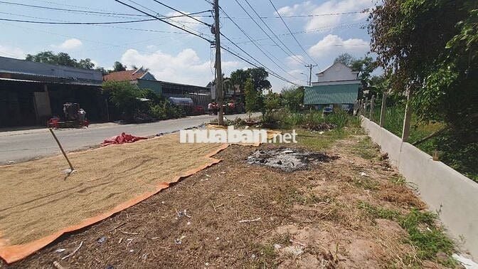 Đất đường Phú Thuận-Trung Lập Thượng : 298m2, thổ 92m2. Giá 900 triệu
