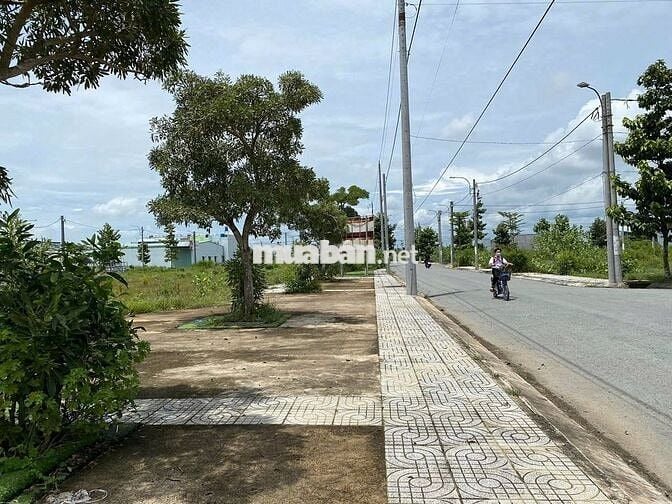 Cần bán Đất ở Long Cang residence