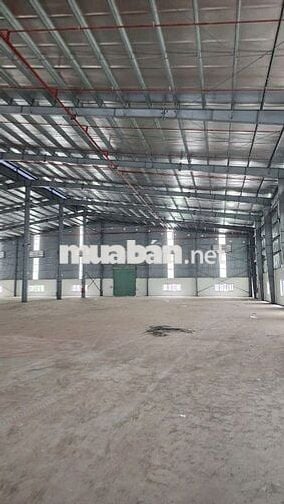 Cho thuê kho xưởng 1.900m2 , tại KCN Đức Hòa , Long An , PCCC tự động