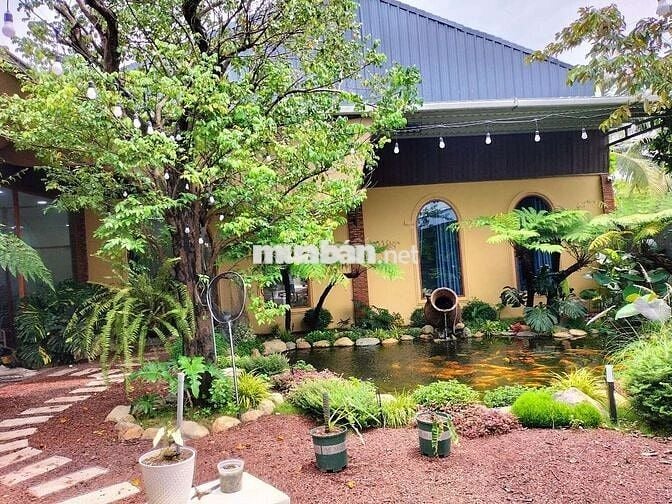 Hạ quyết tâm 4,5 tỷ từ 29, 5 xuống còn 24,8ty a chị phải nhanh ạ