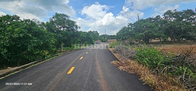 Kẹt tiền bán 5000m2 đất tại DDT328, Bàu Lâm, XM, BRVT