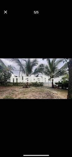 🌟 BÁN ĐẤT MẶT TIỀN ĐƯỜNG 763 🌟 📐 12,5 x 40m  📍 Trục Xuân Lộc – Long Kh