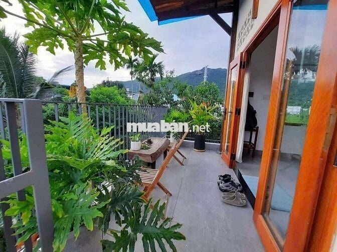 TM Cho thuê nhà homestay sân vườn rộng - Phước Đồng